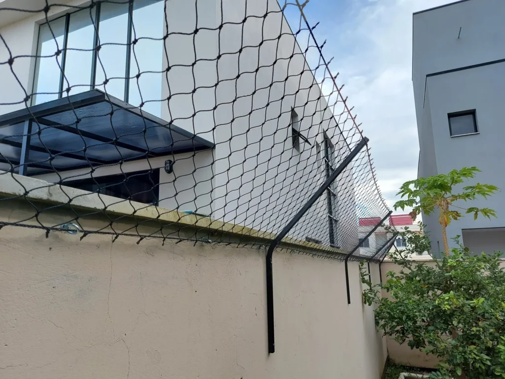 20210512_150745-scaled