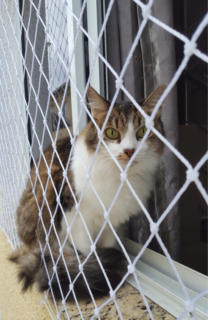 Documento A4 Floral Bege e Branco (210 x 157 mm) (10)