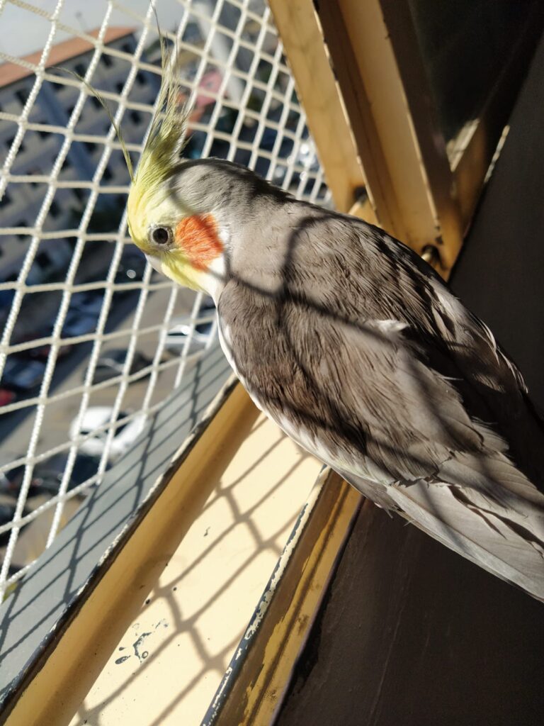 WhatsApp Image 2021-07-22 at 08.53.44