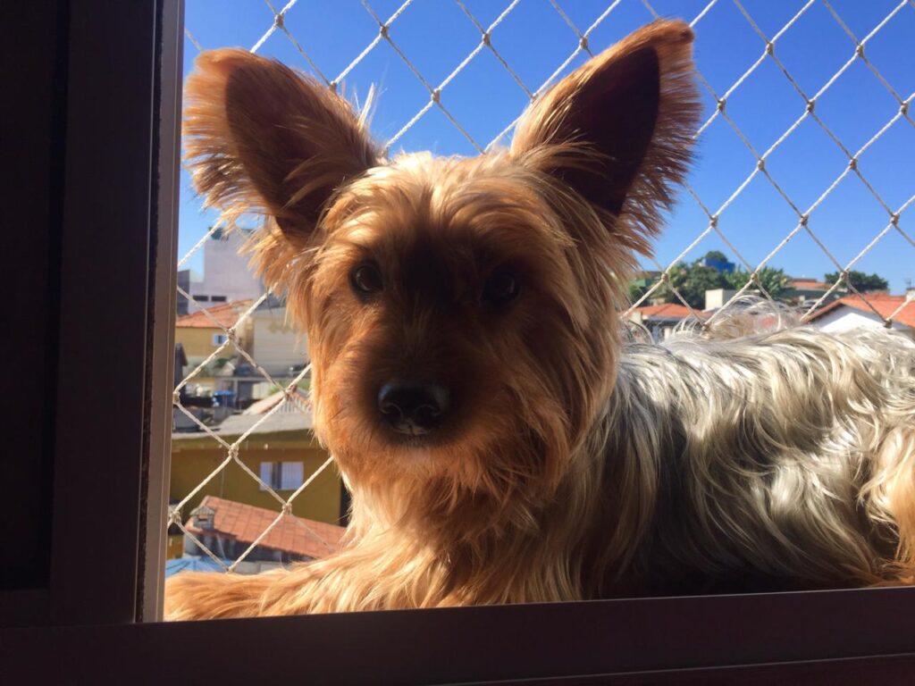 d92117f6-f950-4569-89f7-bfe87a0a5037